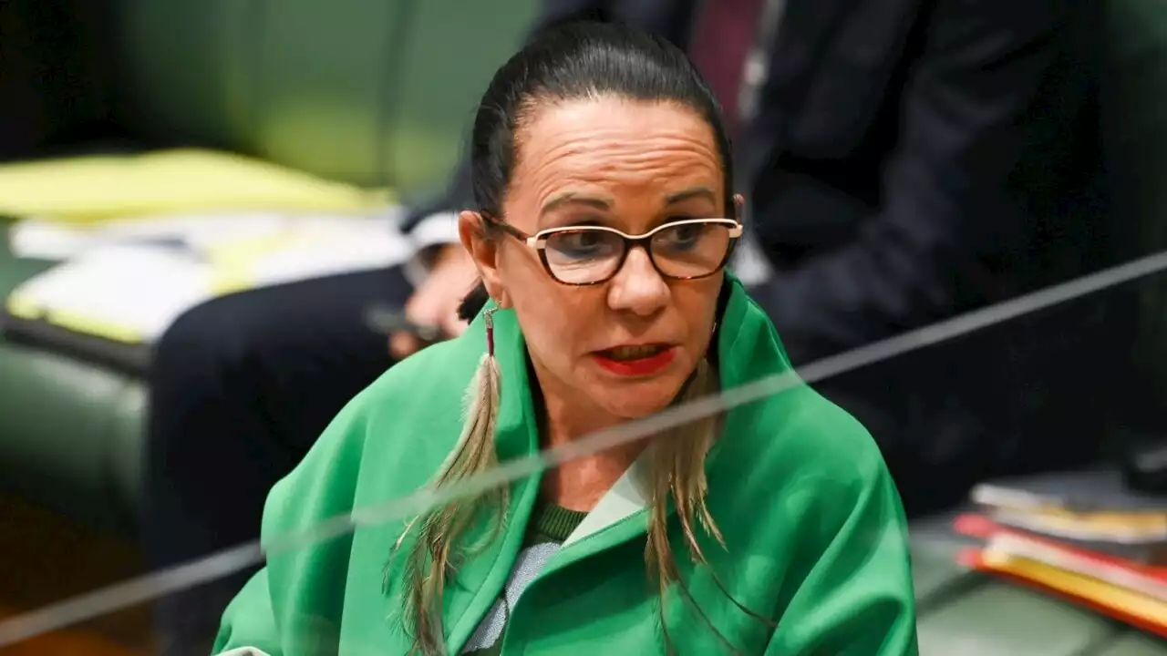 Voice is advisory and will not deliver programs or have veto power: Linda Burney