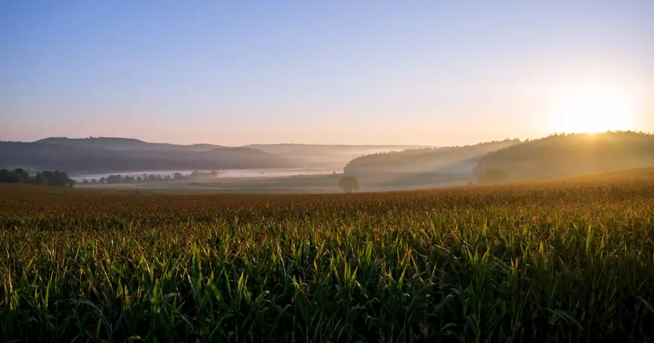 DWD-Wetter: Spätsommer bringt zum Wochenende im Saarland bis 30 Grad – und Gewitter mit Unwetter-Gefahr