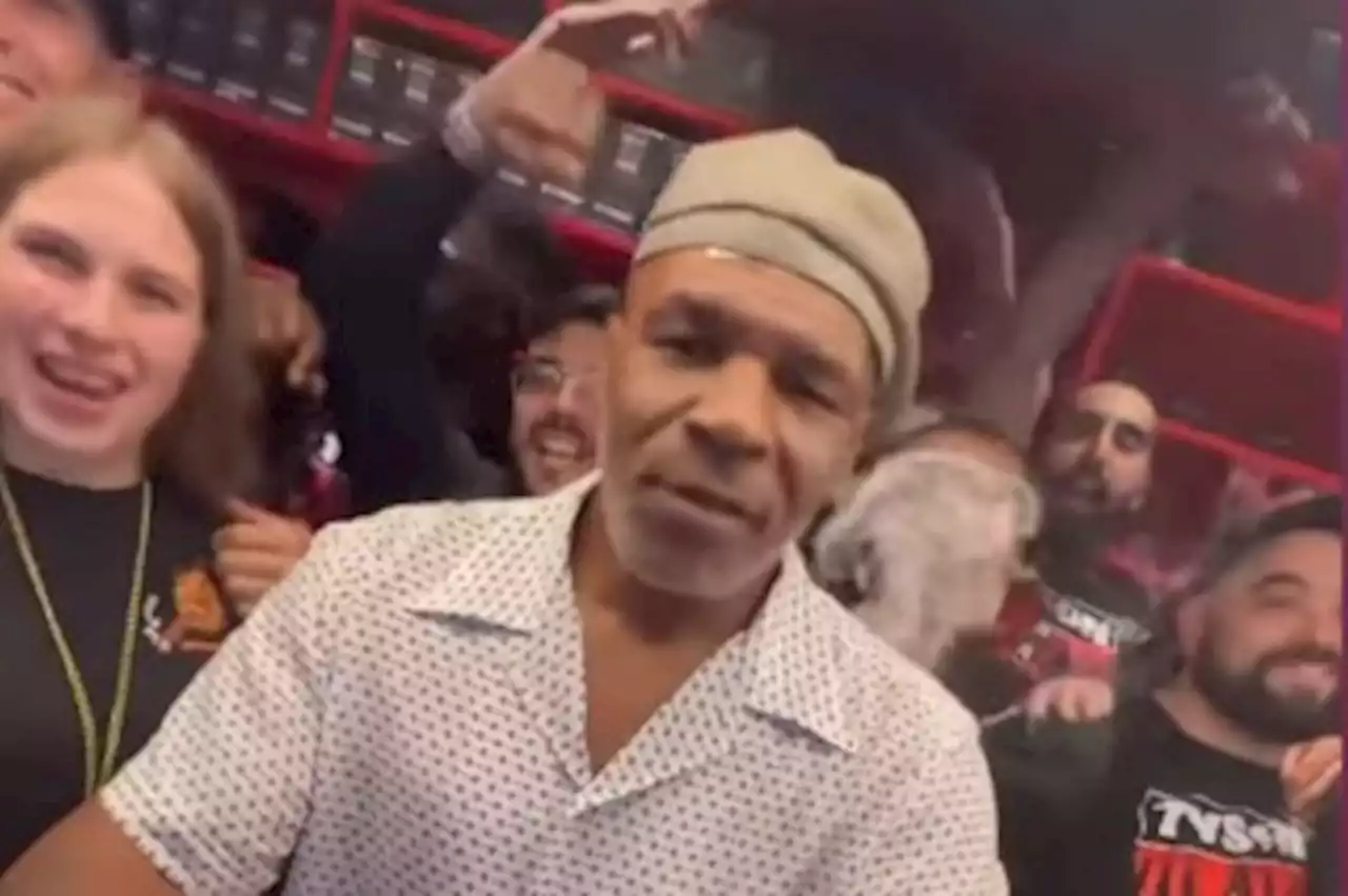 Mike Tyson hosts meet and greet in Amsterdam coffee shop with unique entry requirement