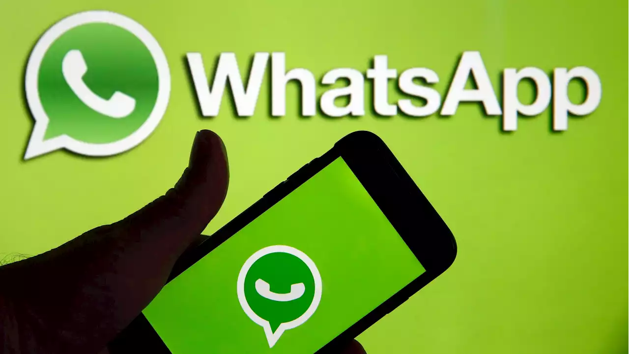 What one tick on WhatsApp means and how to tell if someone has seen your message