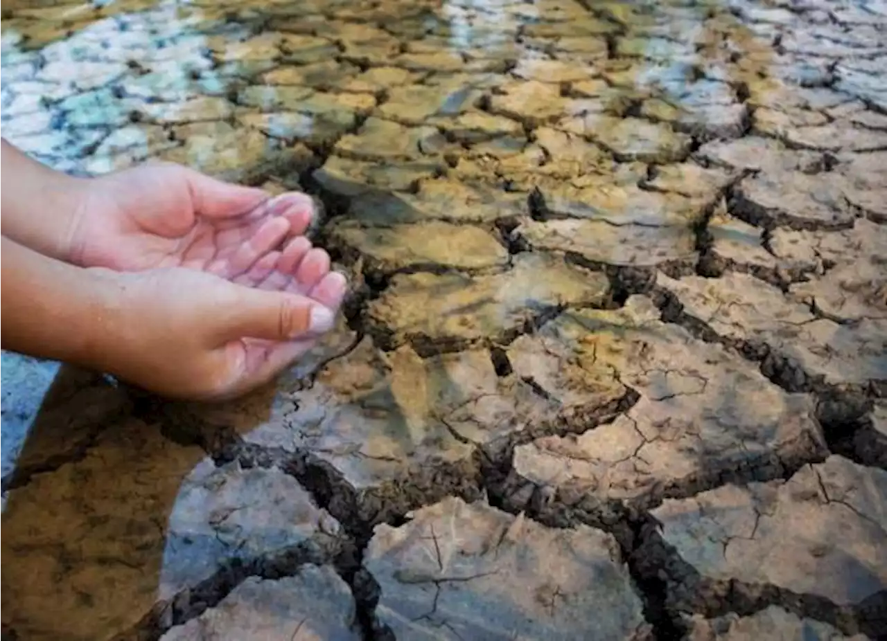 No vamos hacia el fin del mundo: la ONU pide calmar la ‘ecoansiedad’