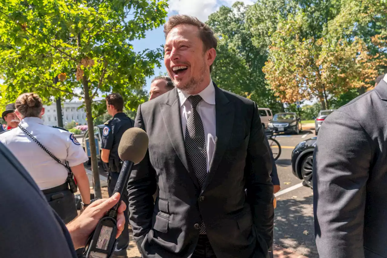 Elon Musk: 'Perhaps a department of AI' needed to keep artificial intelligence 'safe'