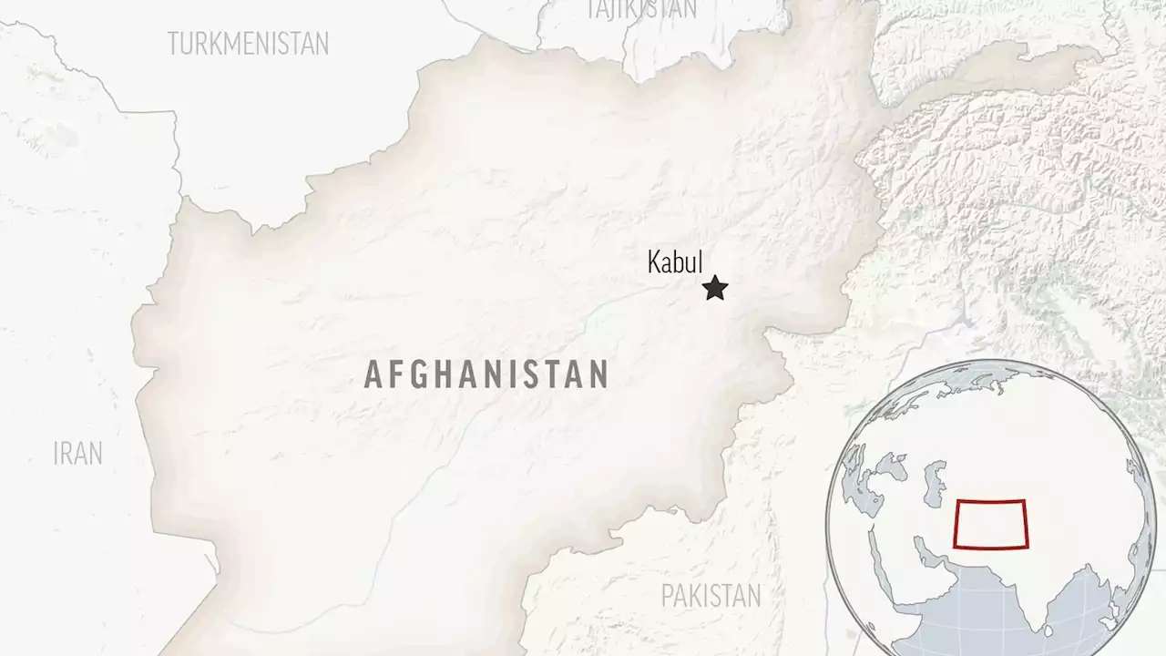 The Taliban have detained 18 staff, including a foreigner, from an Afghanistan-based NGO, it says