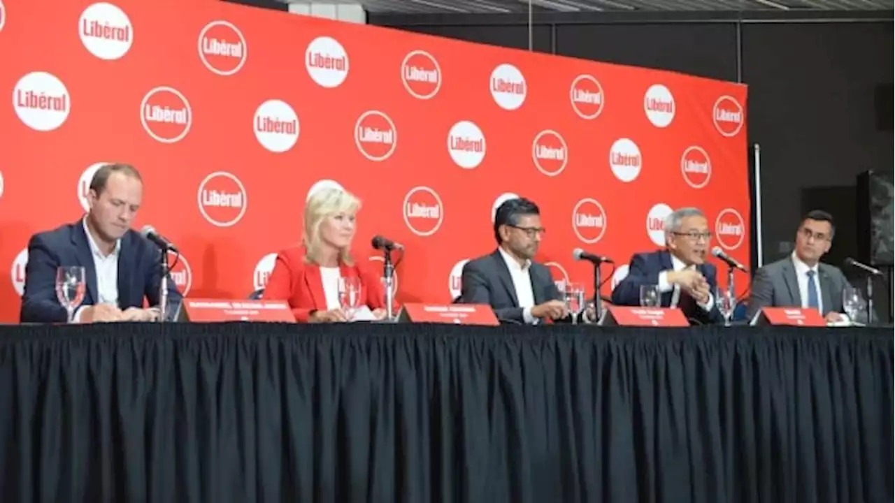 Ontario Liberal leadership race heats up as candidates take aim at Bonnie Crombie