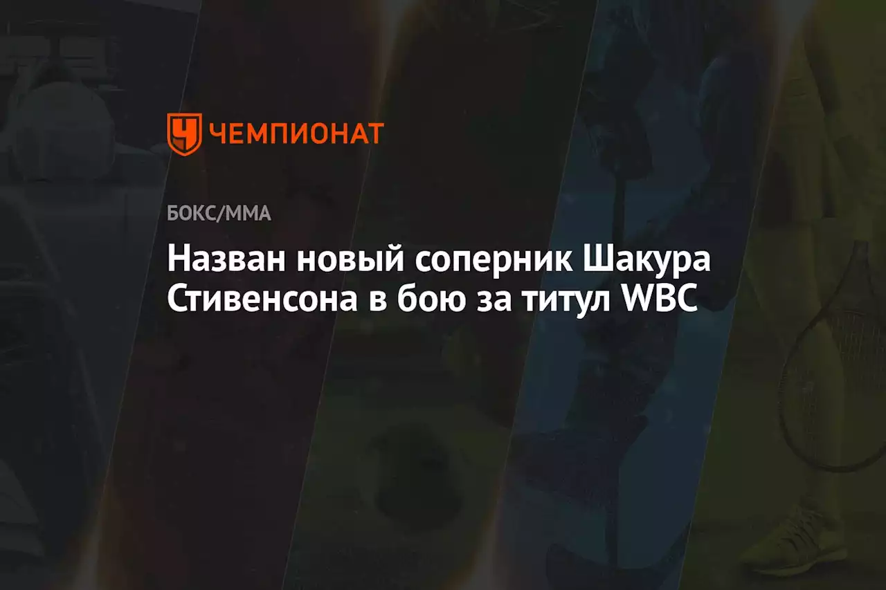 Назван новый соперник Шакура Стивенсона в бою за титул WBC