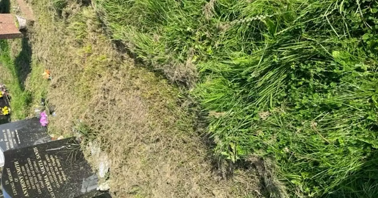 Woman in her 90s 'on her knees crying' over state of son's grave