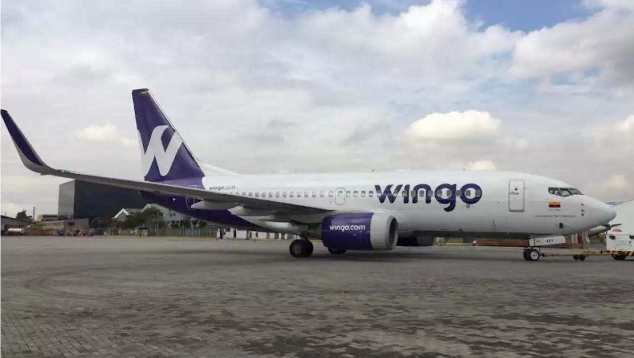 Wingo anuncia ampliación de operaciones entre Bogotá y Caracas