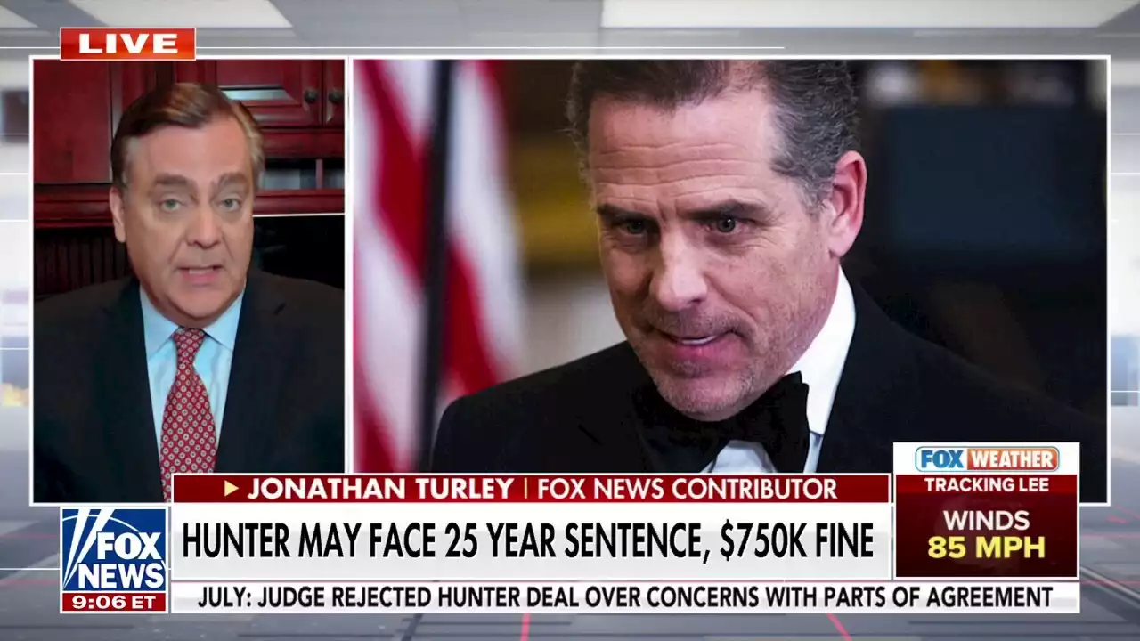 Jonathan Turley on Hunter Biden charges: 'Real chance' he sees no jail time