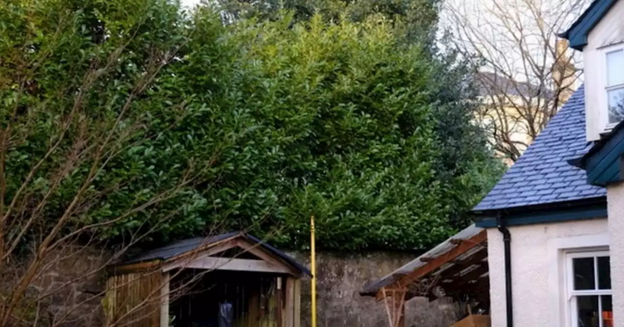 Man who claimed neighbours' 21ft hedge was 'ruining his life' wins battle