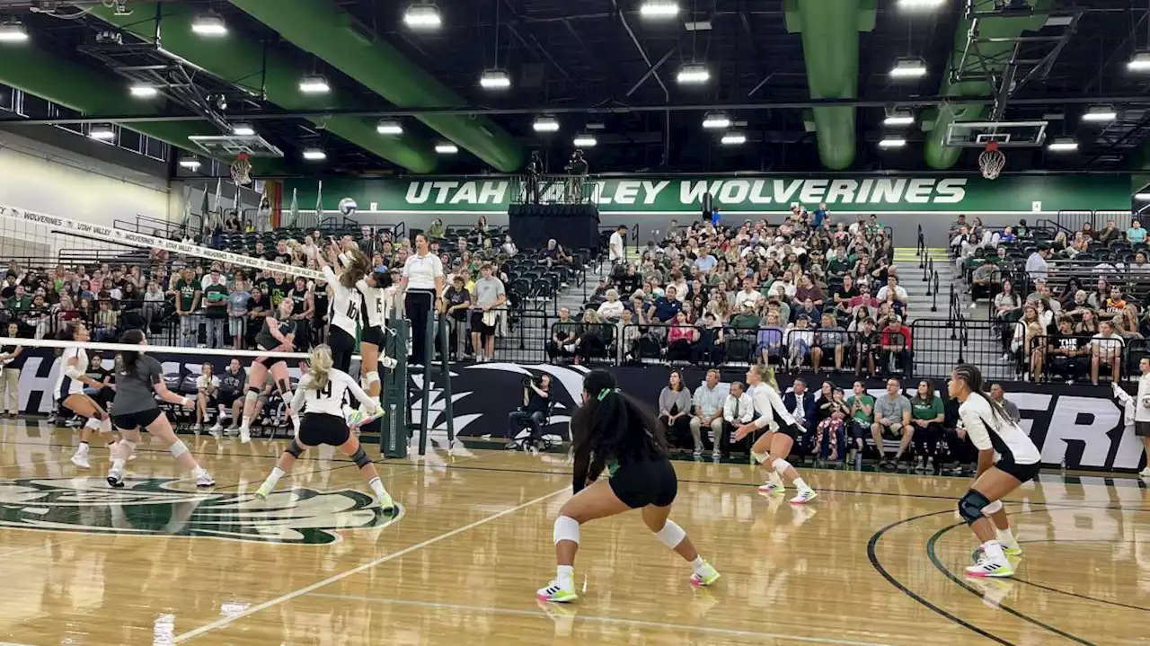 Utah Valley women's volleyball falls to Utah State in 3-0 sweep