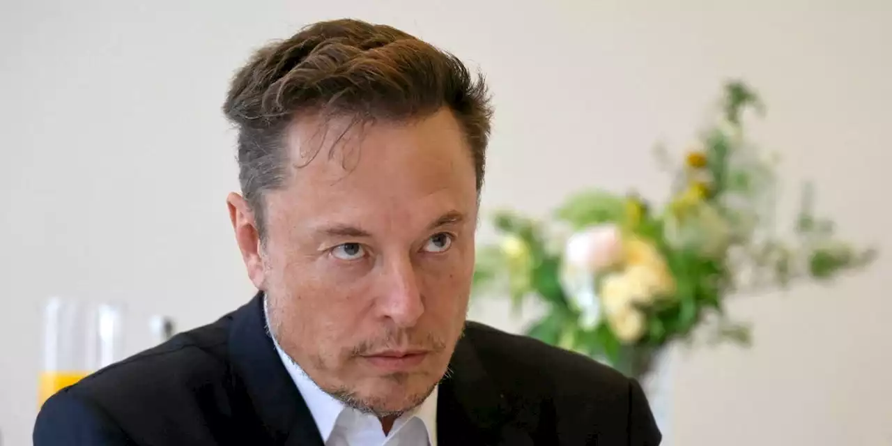 « Elon Musk », la face sombre d'un visionnaire controversé