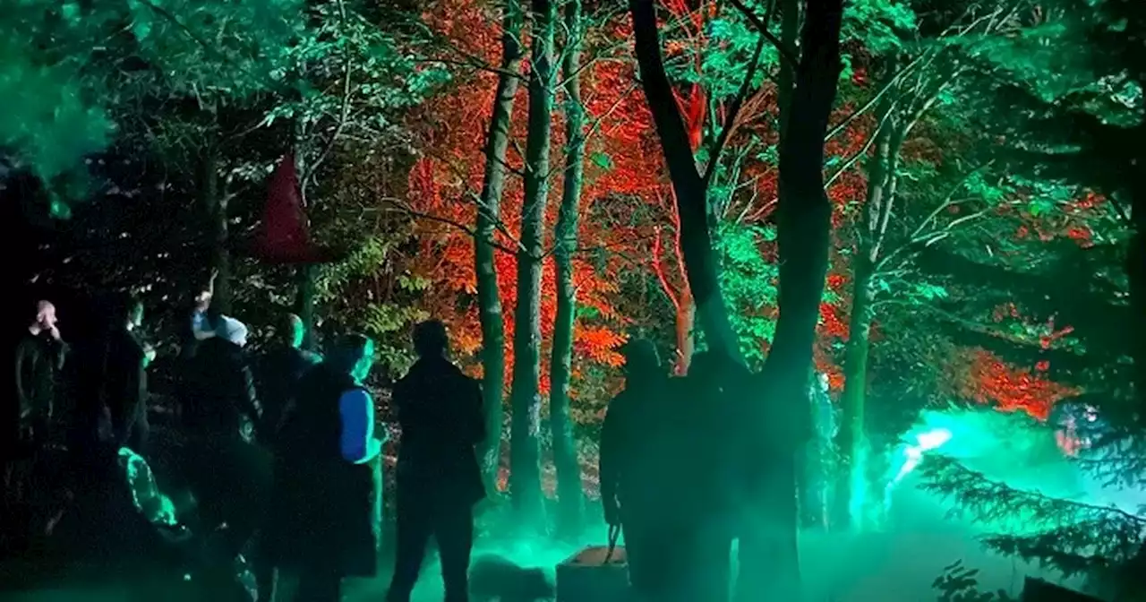 'Enchanting' Halloween lakeside light trail coming to Warrington this October