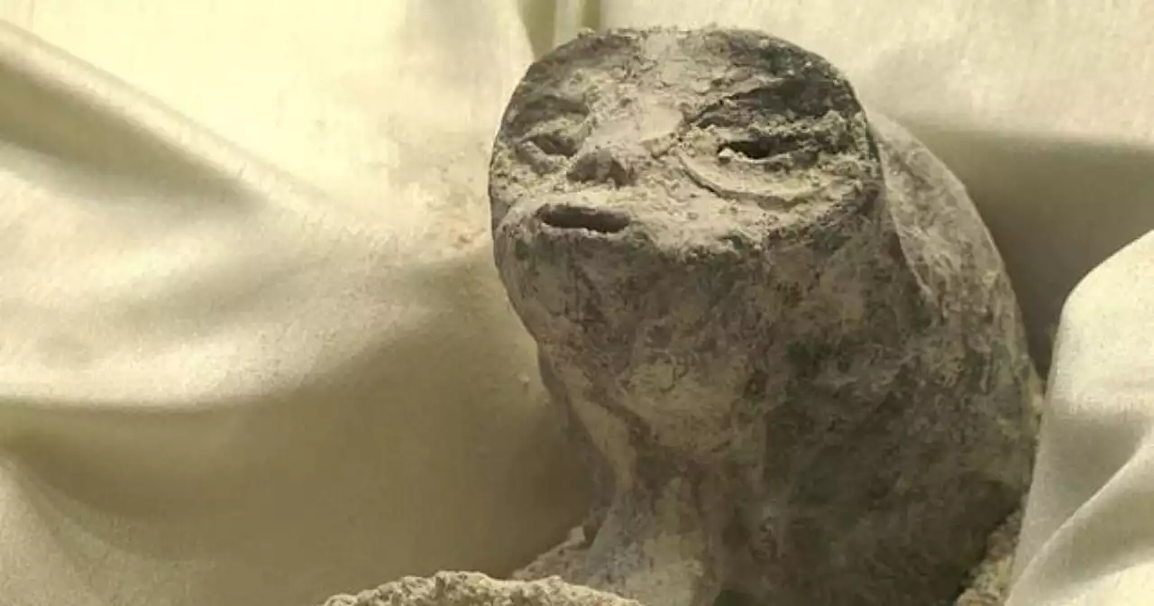 Experts give verdict on three-fingered 'alien bodies' unveiled in Mexico