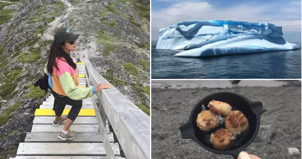 Majestic icebergs to fresh lobster: Canada's Newfoundland is a hidden travel gem