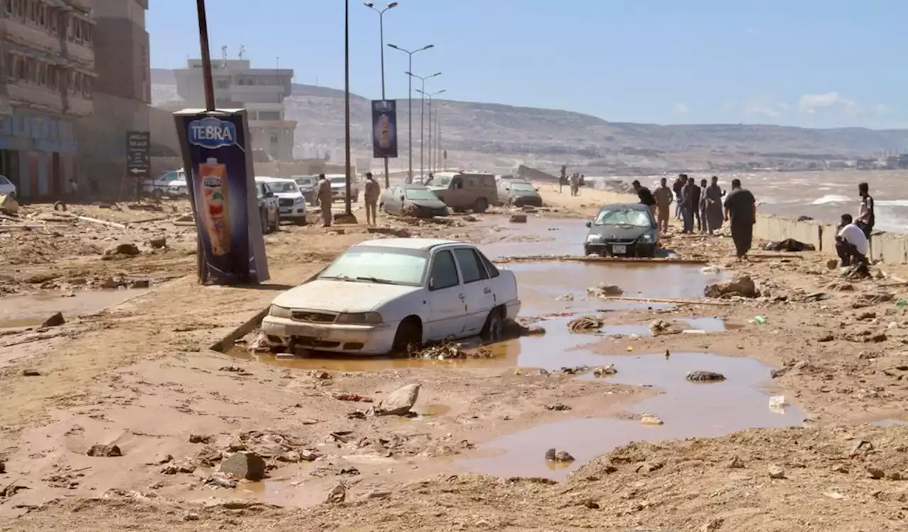 Humanitäre Katastrophe in Libyen: Hunderttausende brauchen Hilfe