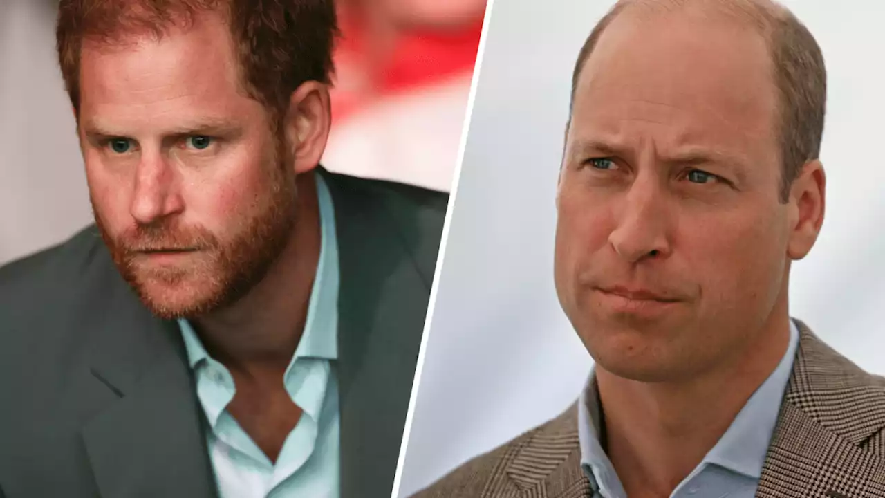 Why there's no easy fix for Prince Harry and Prince William's bond