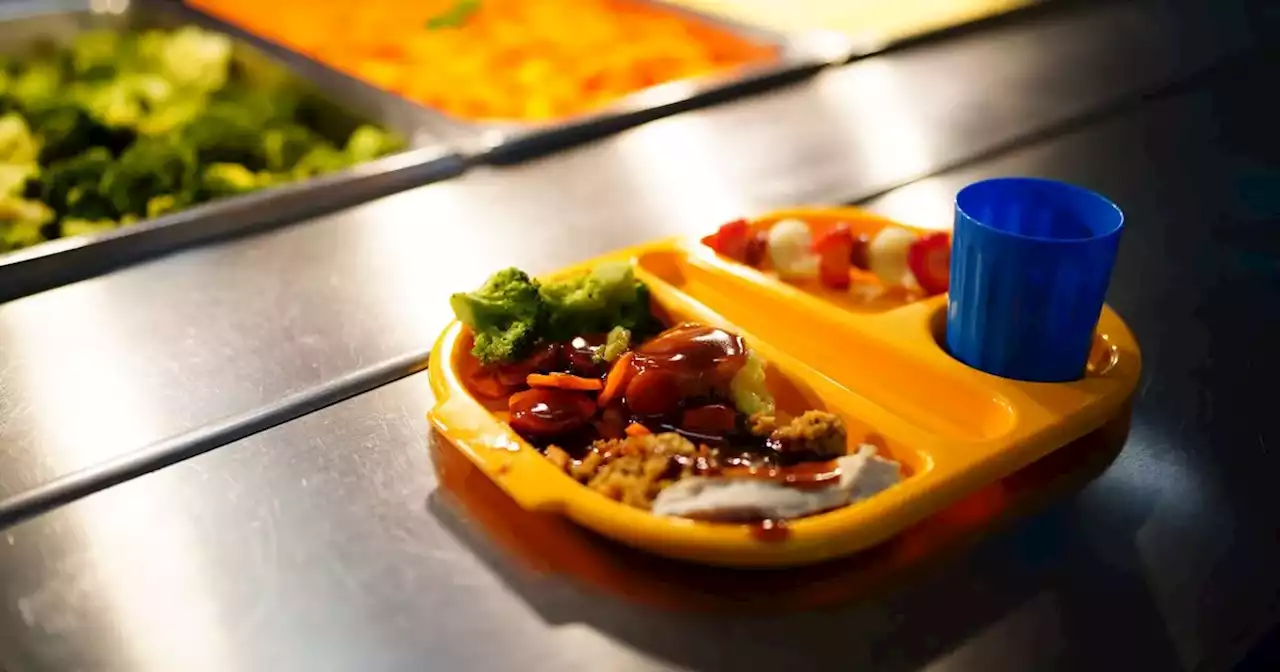 Calls to reverse 'unacceptable' price rise for Notts school dinners