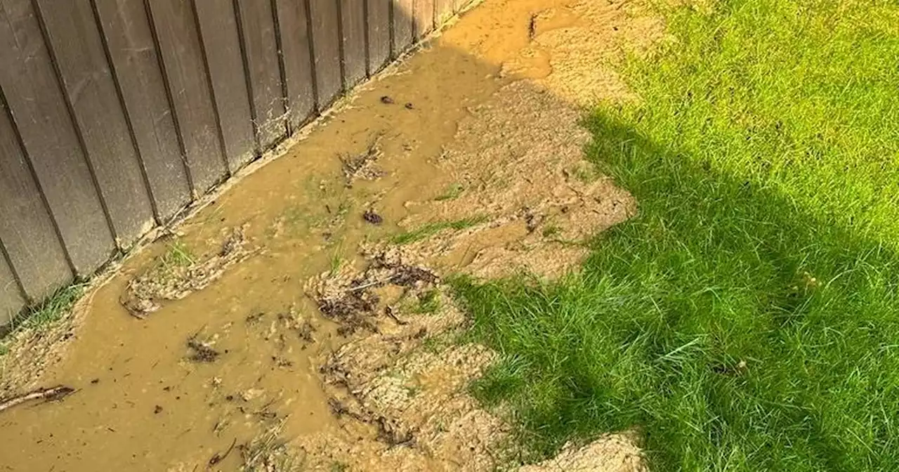 Man's garden flooded with neighbours' sewage for three days