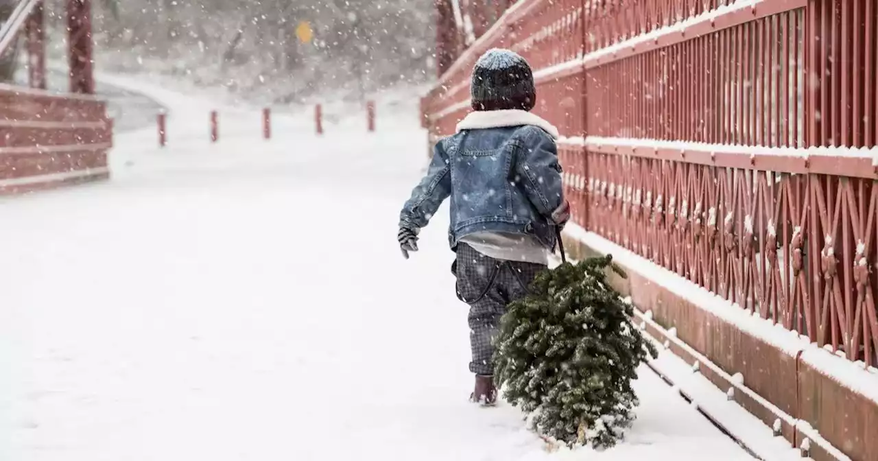 Strong chance of snow on Christmas Day this year, say experts