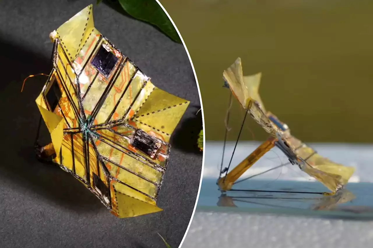 Battery-free flying robots use origami to change shape in midair