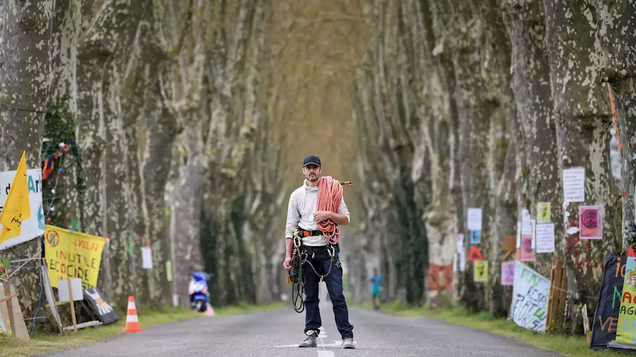 VIDÉO. Autoroute A69 : « On ne va pas arrêter » clament des écologistes depuis des arbres