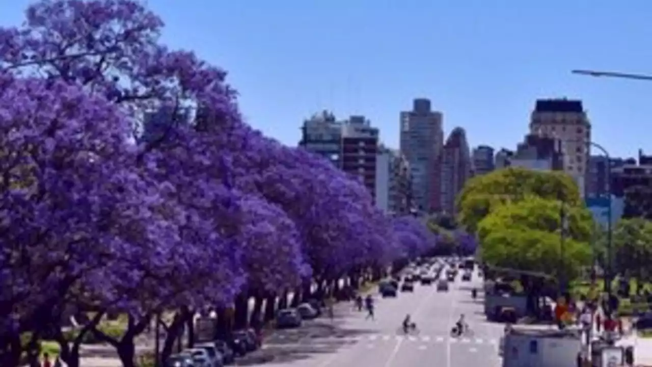 Clima en Buenos Aires: el pronóstico del tiempo para este viernes 15 de septiembre