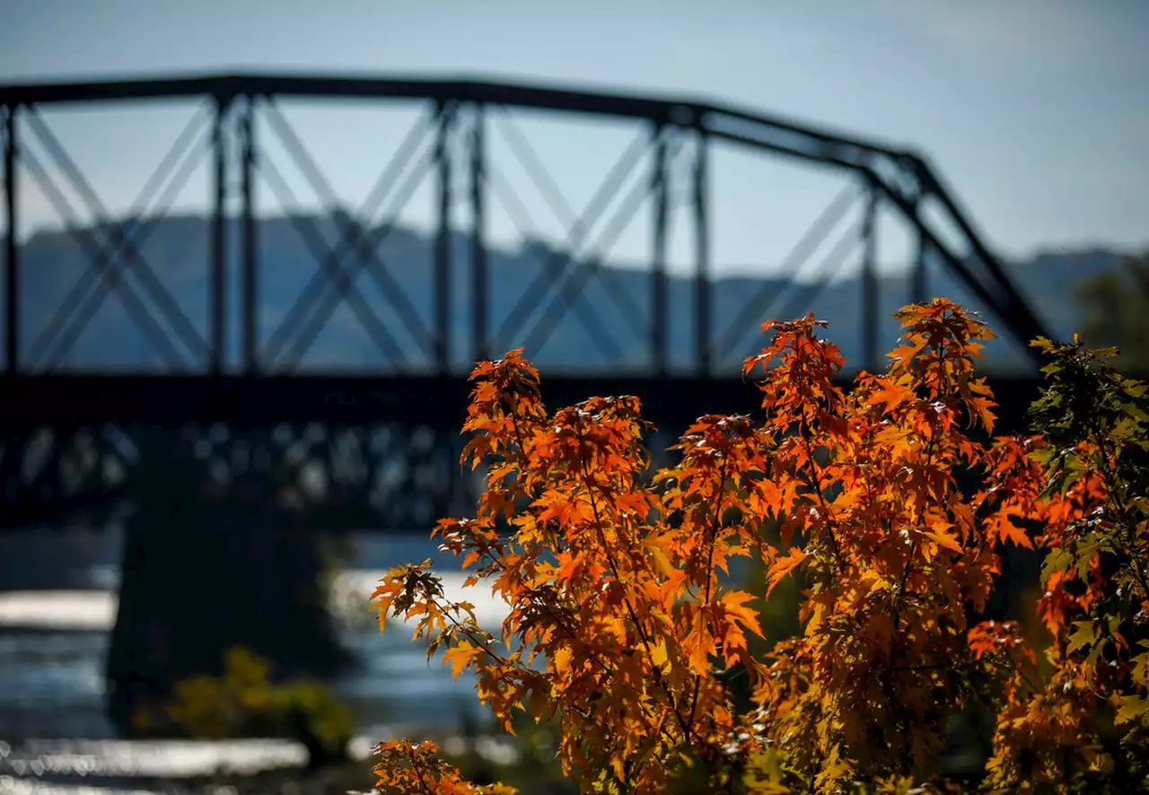 When is the first day of fall? What to know about 2023 autumn equinox