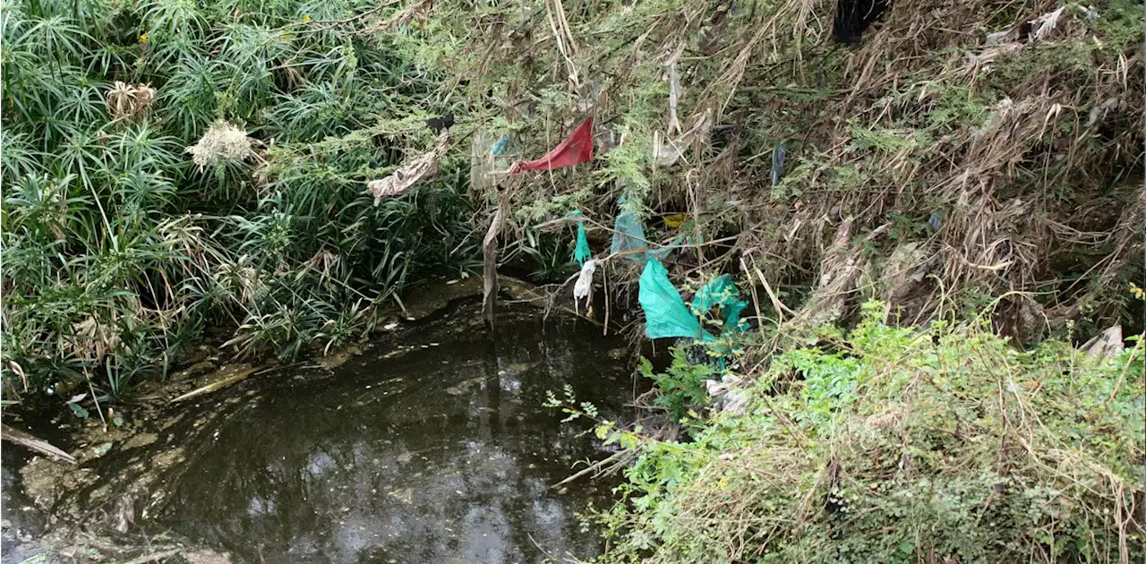 Kenya: Ongata Rongai boom town destroyed two vital rivers—new study flags a major health risk