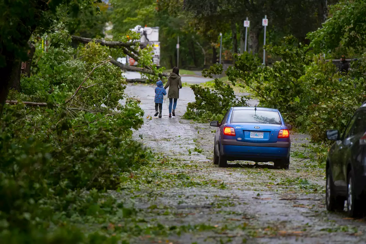 CLAUDIA CHENDER: Preparing for climate emergencies together