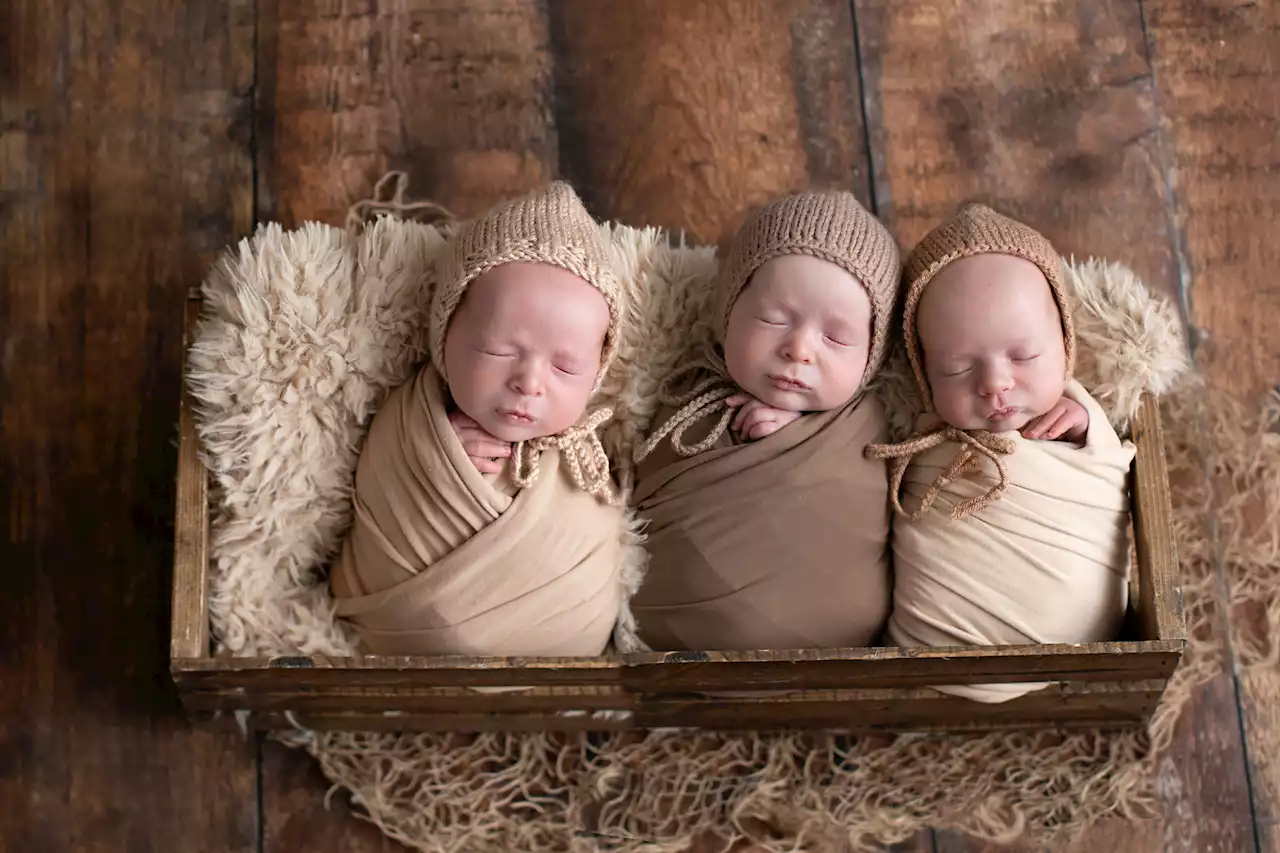 'The most rewarding job in the world': These Newfoundland moms have their hands full juggling triplets and twins