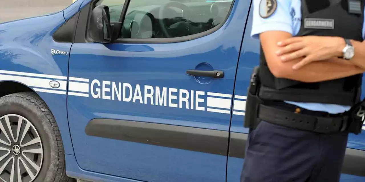 Haut-Rhin : information judiciaire pour homicide volontaire après la découverte d’un cadavre