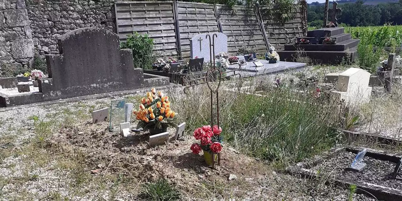 Une femme arrêtée au cimetière, son bébé mort dissimulé dans un sac à dos