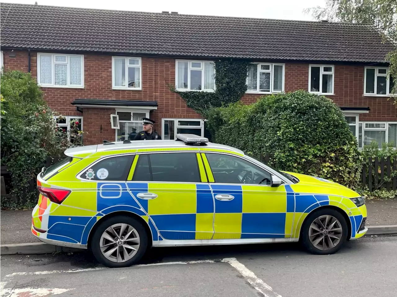 Man dies in suspected XL Bully attack involving two dogs near primary school