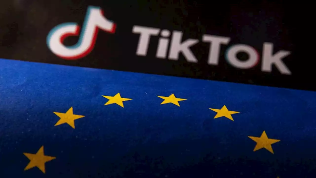 TikTok fined S$502m over handling of children's data in Europe