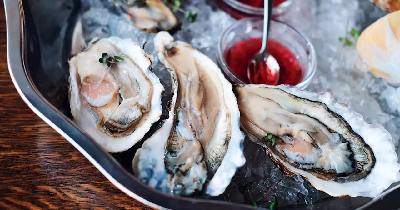 How can you tell if an oyster is safe to eat?