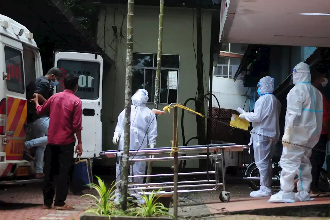 Kerala 'lockdown' akibat penularan virus Nipah