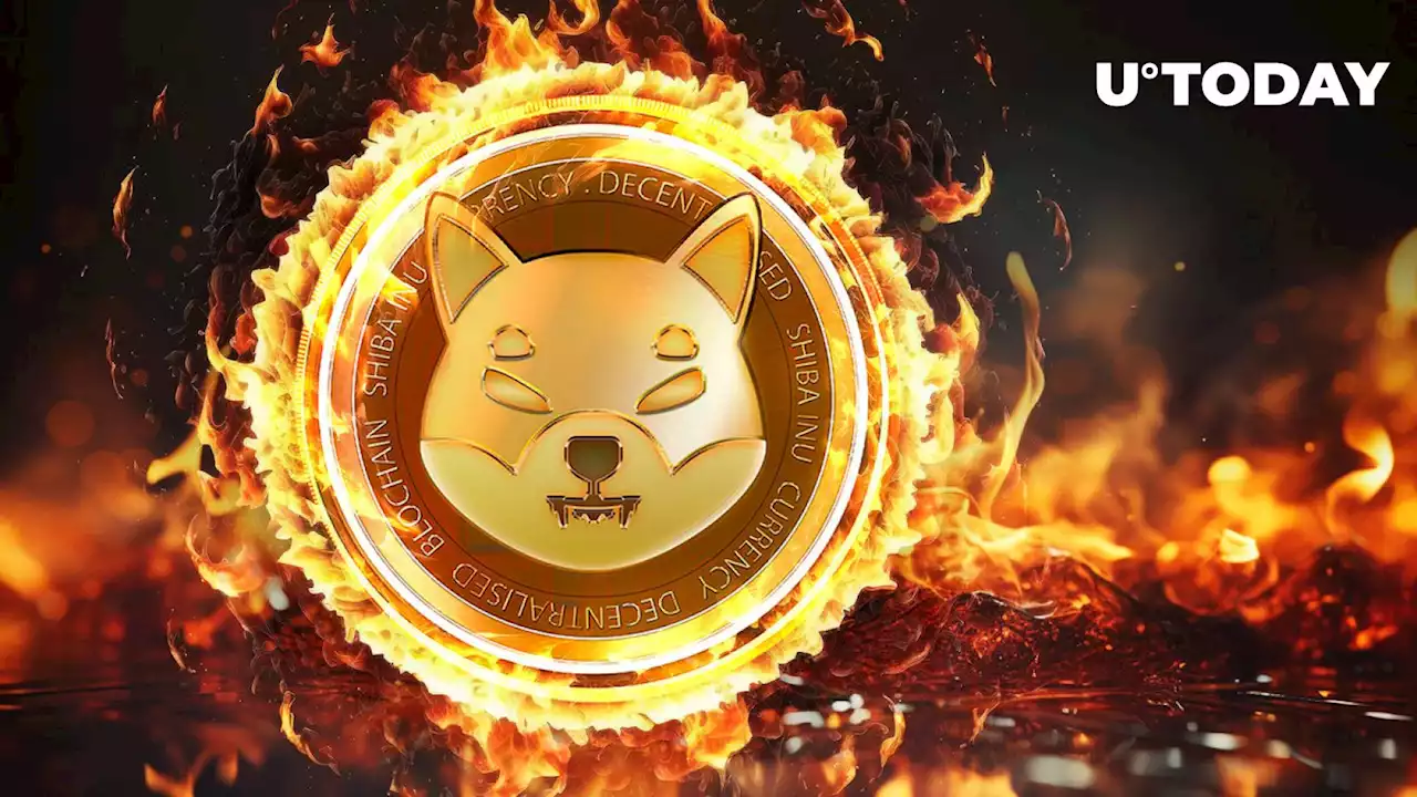 Shiba Inu Army Burns Millions of SHIB as Shibarium Hits New Milestone