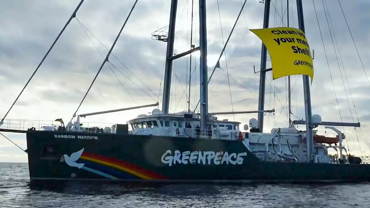 kampf für einen grünen planeten: so haben sie greenpeace noch nie gesehen