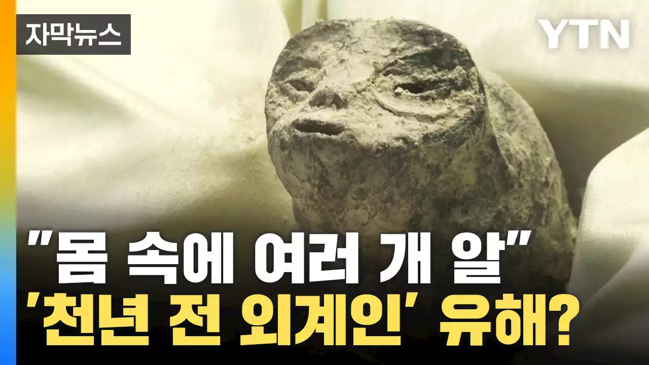 [자막뉴스] '몸 속에 여러 개 알' 미국이 숨기고 있는 외계인의 정체?