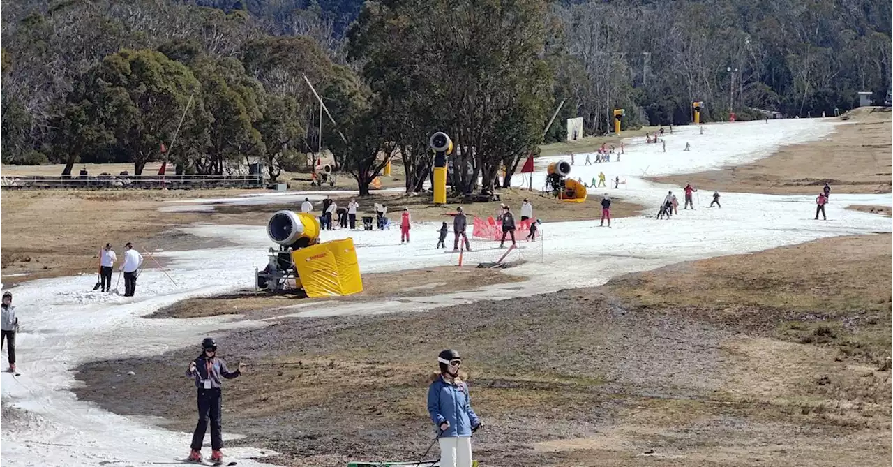 Proof that Australians will literally ski on anything