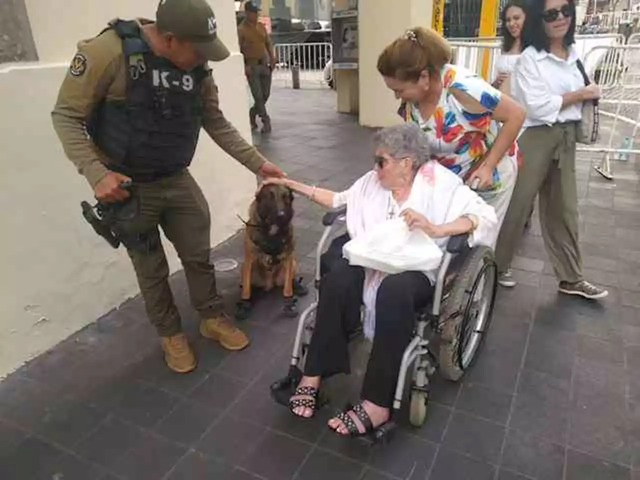 Perro de Fuerza Civil no atacó a mujer en Xalapa; la arañó cuando jugaba