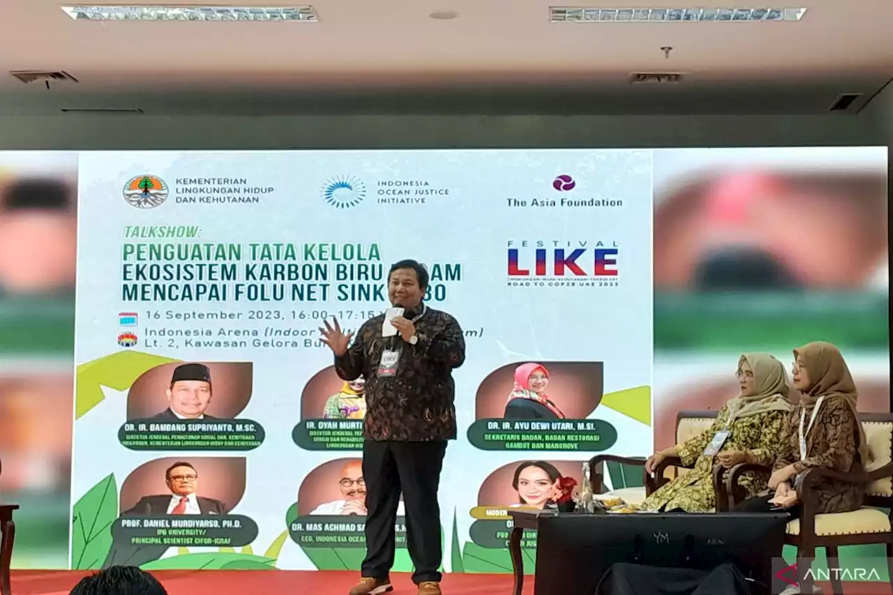 KLHK: Rakyat perlu didampingi kelola mangrove untuk investasi karbon