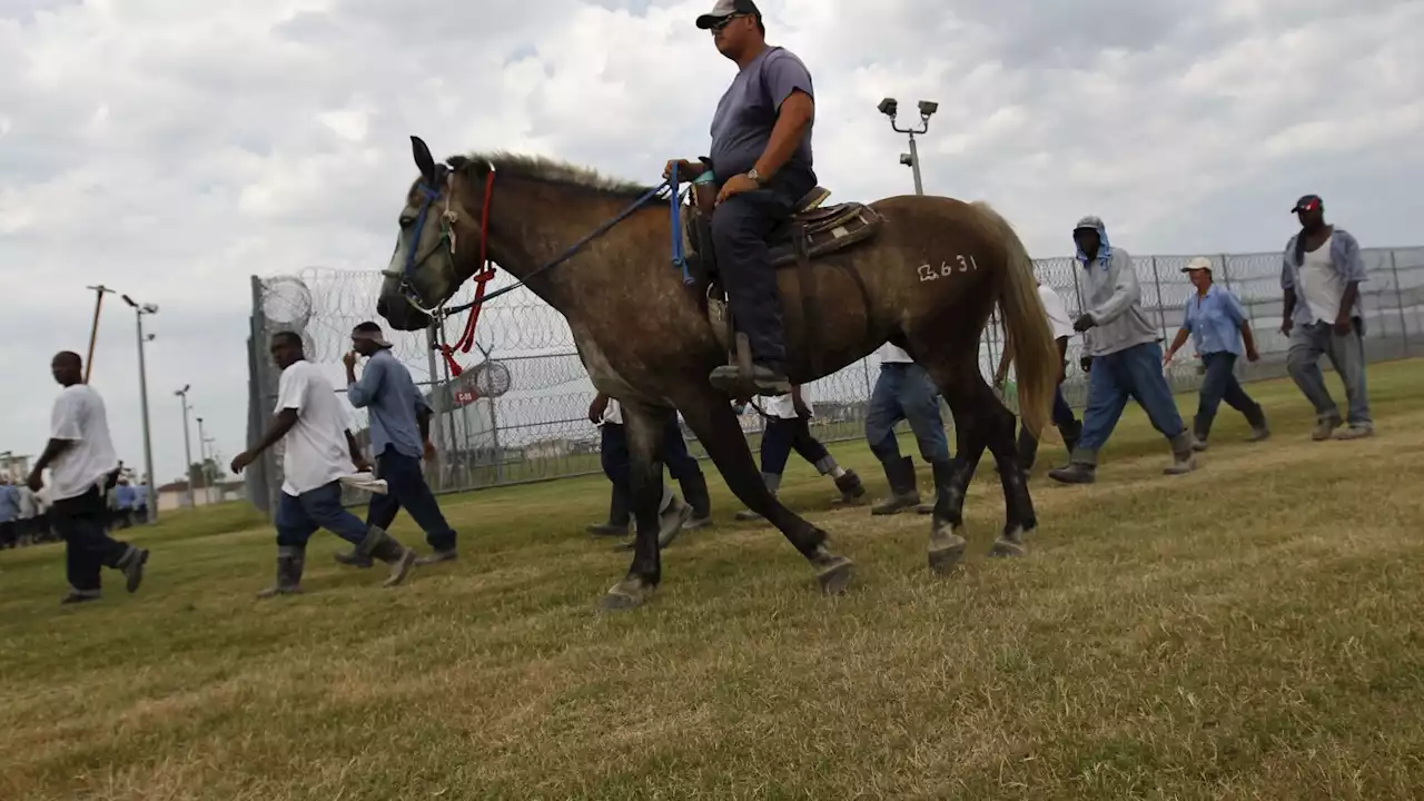 Louisiana prisoner suit claims they’re forced to endure dangerous conditions at Angola prison farm