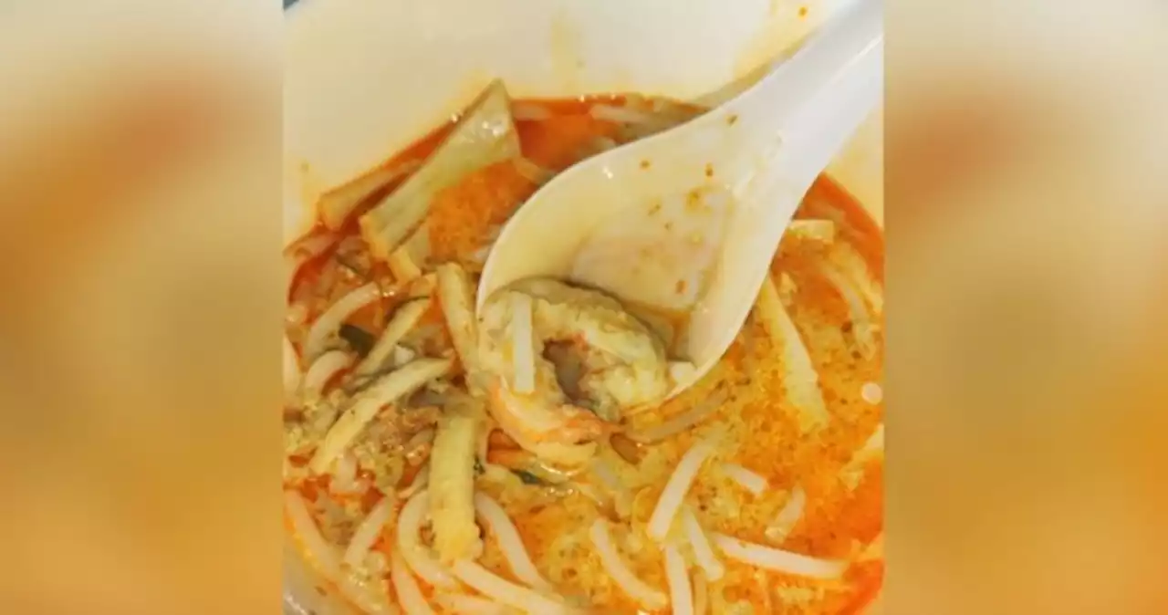 Extra $2.50 for half a prawn? Diner unhappy about $8.50 laksa from famous joint in Serangoon