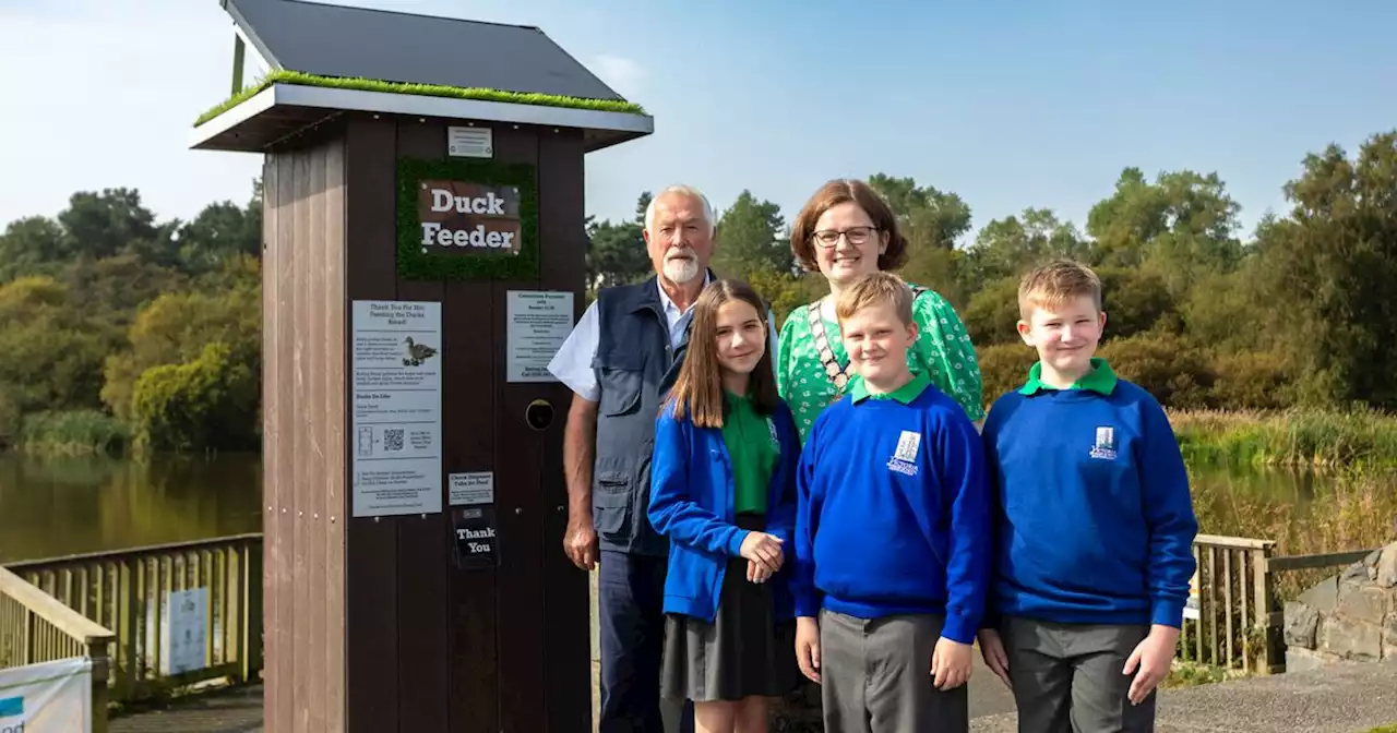 Solar powered Co Down duck feeder experiment a success with 500 hits