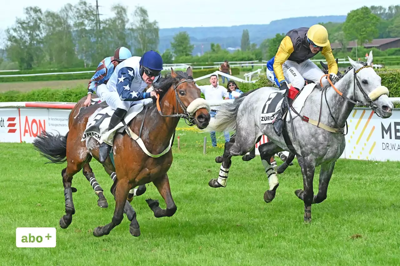 Schweizer Jagd-Elite im Aarauer Schachen