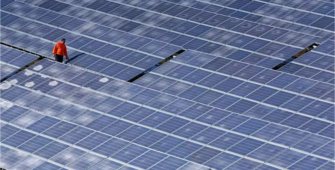 El 91% de las empresas en España tienen prevista la instalación de paneles fotovoltaicos