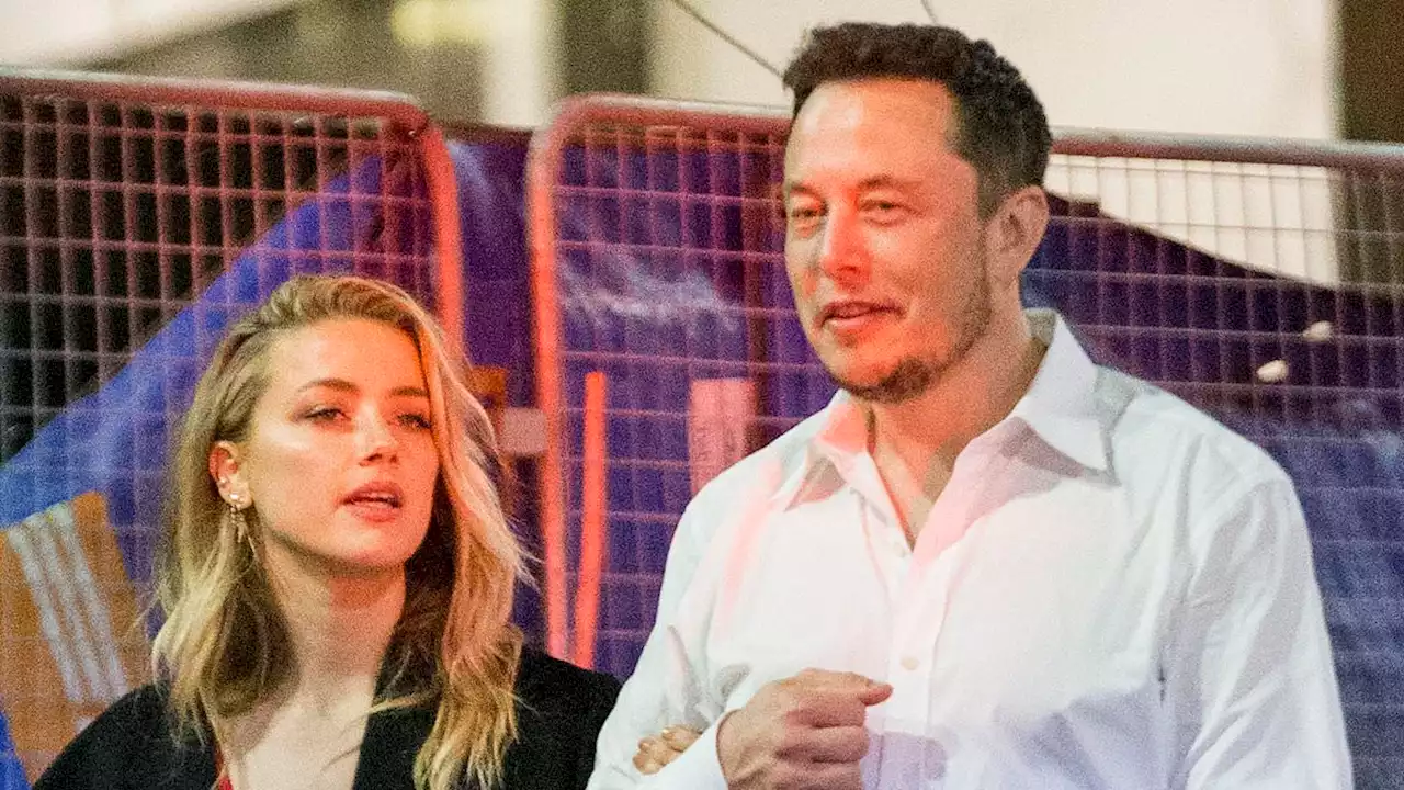 Elon Musks Toxic Relationship With Amber Heard Revealed In New Biography