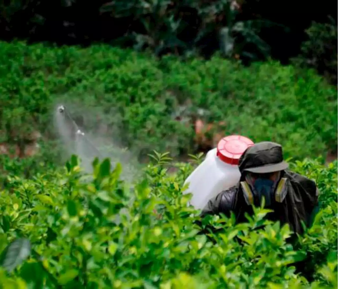 Estados Unidos mantiene certificación a Colombia en lucha contra las drogas