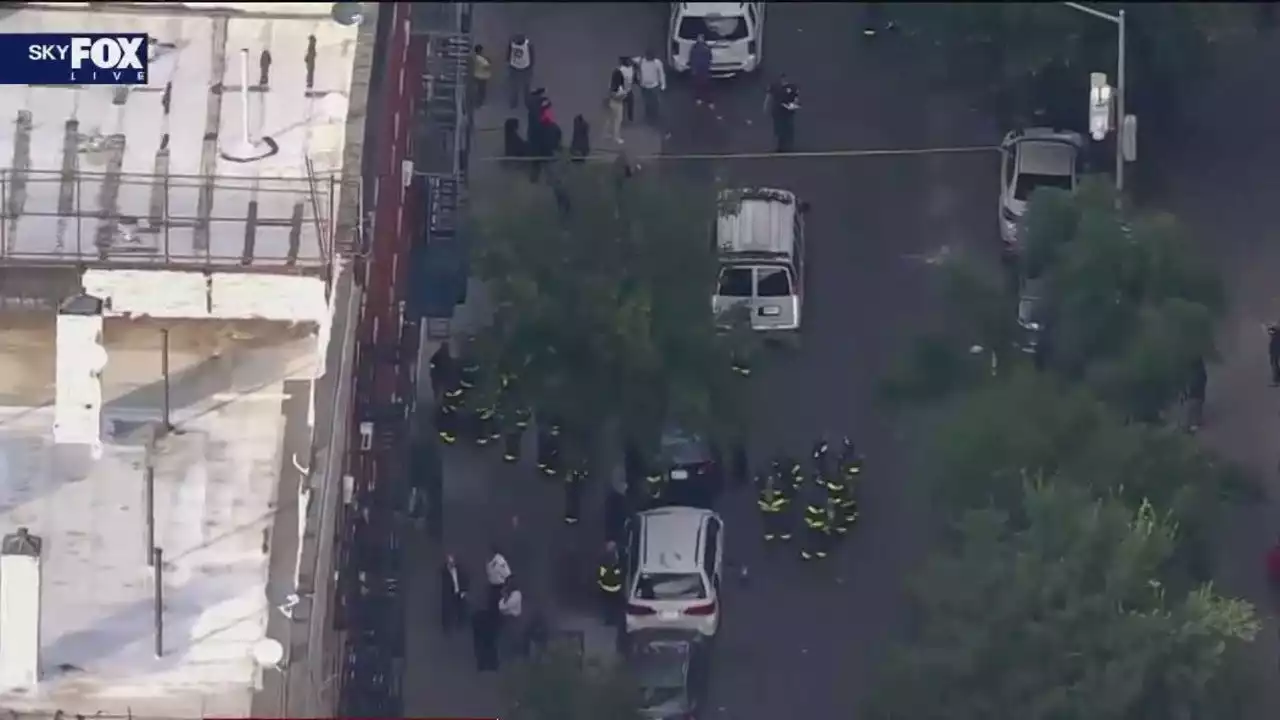 1 child dead, 3 others hospitalized after incident at Bronx day care